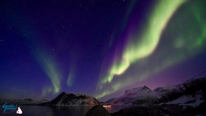 Colorful Northern lights over the mountains and fjord
