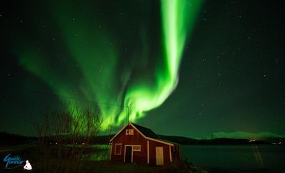 Northern Lights over my seahouse and the fjord