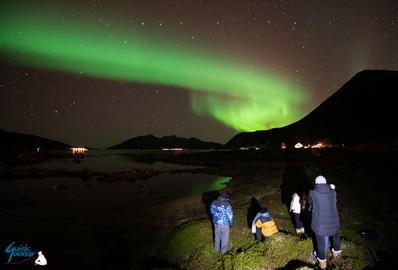 Northern Lights over a group of people on the beach