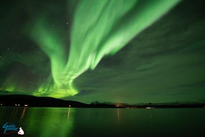 Northern Lights over the fjord