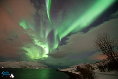 Bright Auroras between the clouds over the snowy fjord landscape