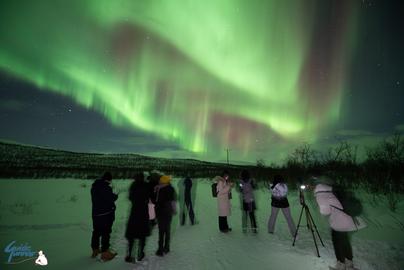 A group of people under the sky of colorful Aurora