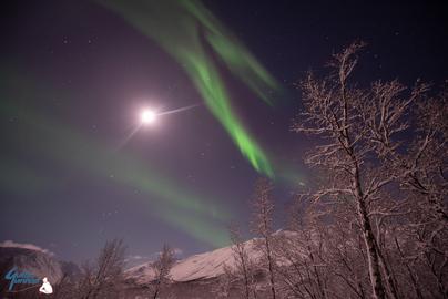 Northern Lights and the moon over the snowy frozen landscape
