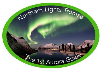 Happy guests in a circle under the Northern Lights.